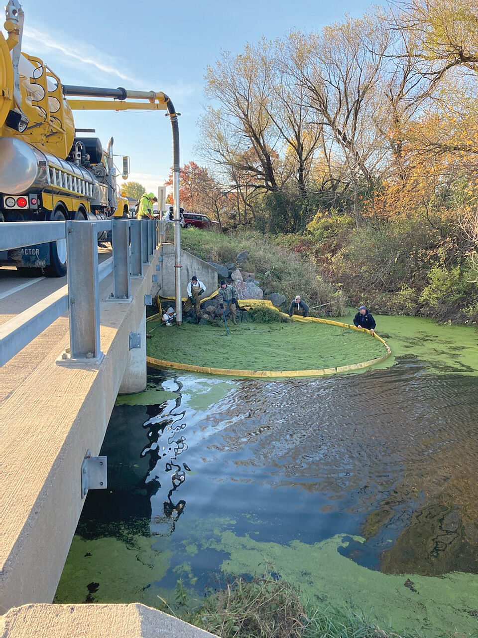 Algea_Cleaning1WEB.jpg